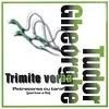 TUDOR GHEORGHE - TRIMITE VORBA  (CD) SIGILAT!!!