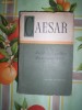 Caesar-RAZBOIUL GALLIC.RAZBOIUL CIVIL