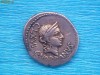denar roman republican C Norbanus 83 ICr