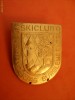 INSIGNA - CLUB SKI (1)