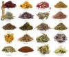 PLANTE MEDICINALE DIN ROMANIA