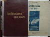 Constantin Gane , Intamplarea cea mare , 1927 , editia 1