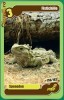 Cartonase Mega Image Minunile Planetei - Nr.156 *Mega Rar*