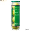 ARTICOLE TENIS ; Mingi Tenis WILSON Starter - punct verde 4 mingi / cutie, COD MWS
