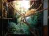 Vand Iguana