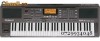 Vand Roland EXR 5s