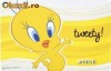 Napron 29x44cm TWEETY YELLOW