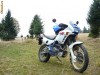 honda dominator NX 650