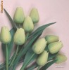 LALELE LEMN GALBENE 15 CM