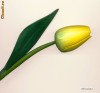 LALEA GALBENA DIN LEMN 25 CM