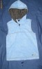 Vesta polar GUESS
