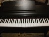 VAND PIANINA