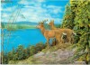 Carti postale tridimensionale- 3D - Animale