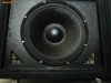basi 300w rms