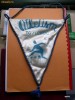 Fanion  Atletism  Targu Secuiesc