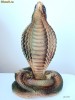 decorativ cobra urias