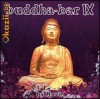 BUDDHA BAR - VOL. IX