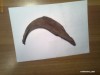 Decor lemn natural acvariu 15cm
