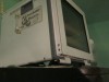 Incubator din Germania