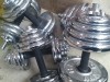 Gantere Cromate 20 kg 10x2 Livrare direct la dumneavoastra acasa!