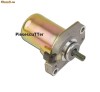 Electromotor scuter Peugeot