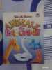 Kit de facut animale din baloane