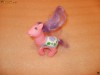 cal calut poney