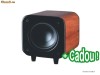 Subwoofer casa activ Blue Tech S-10WA