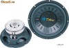 Vand difuzor subwoofer