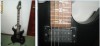 Chitara electrica Stagg X300   husa