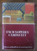 Enciclopedia Caminului
