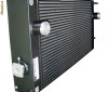 Radiator racire VW SEAT AUDI SKODA RENAULT OPEL DACIA FORD FIAT BMW MERCEDES ALFA ROMEO PEUGEOT LANCIA KIA HONDA HYUNDAI CHEVROLET CHRYSLER CITROEN