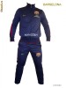 Trening Nike,Barcelona  la super pret!!!!