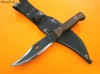 Condor Jungle Bowie II