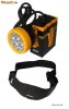 Field Work Lamp