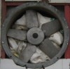 Ventilator D= 0,6 m