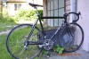 Cursiera RED BULL   full Shimano 105