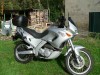 Aprilia 650 Pegaso