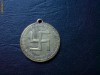 Medalion romanesc, marturie de botez, original si rar