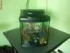 Vand acvariu 30 litrii,original, cu pompa,neon  bicolor,plante decorative,pret 150 ron,folosit  6 luni.