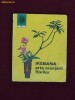 Laura Sigarteu Petrina - Ikebana - Arta aranjarii florilor - 11140