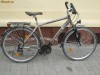 Vand / Schimb bicicleta MCKENZIE 28 aluminiu frane pe disc