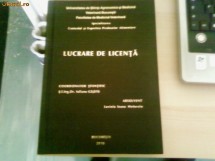 CARTI/LUCRARE DE LICENTA foto