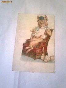 Carte Postala - Porcul imbogatit     Circulata, 21 aprilie 1900 foto