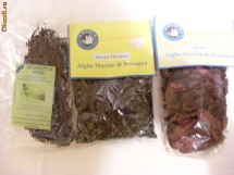 alge marine pentru tratament naturist sau condiment - diverse specii foto