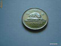 5 centi canada 2008 photo 5 centi canada 2008