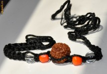 Bratara Rudraksha photo Bratara Rudraksha
