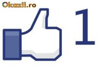 Vand fani facebook ROMANIA