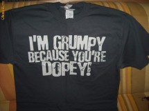 Disney World T-shirt