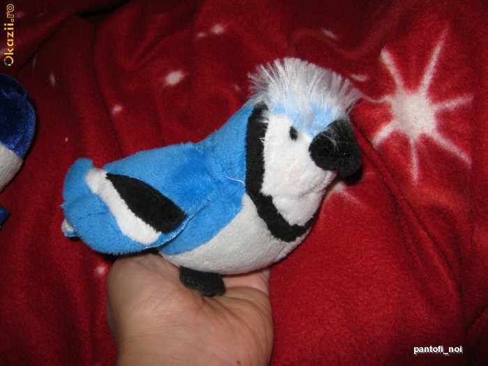 Jucarie din plus moale, WEBKINZ GANZ, pasarea mica albastru(15cm) LIL'KINZ BLUEJAY,nou, colectabil foto mare